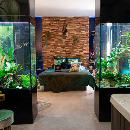 Suite avec jacuzzi privatif