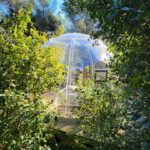 Dormir dans une bulle