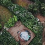 Nuit insolite dans une bulle en PACA