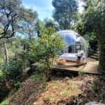 Dormir sous les étoiles dans une bulle en PACA
